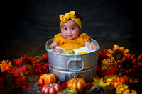 DSC06947-PS EDIT