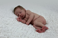 Born-23 1739