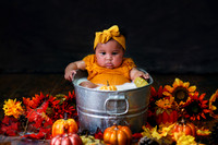 DSC06933-PS EDIT