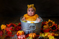 DSC06946-PS EDIT